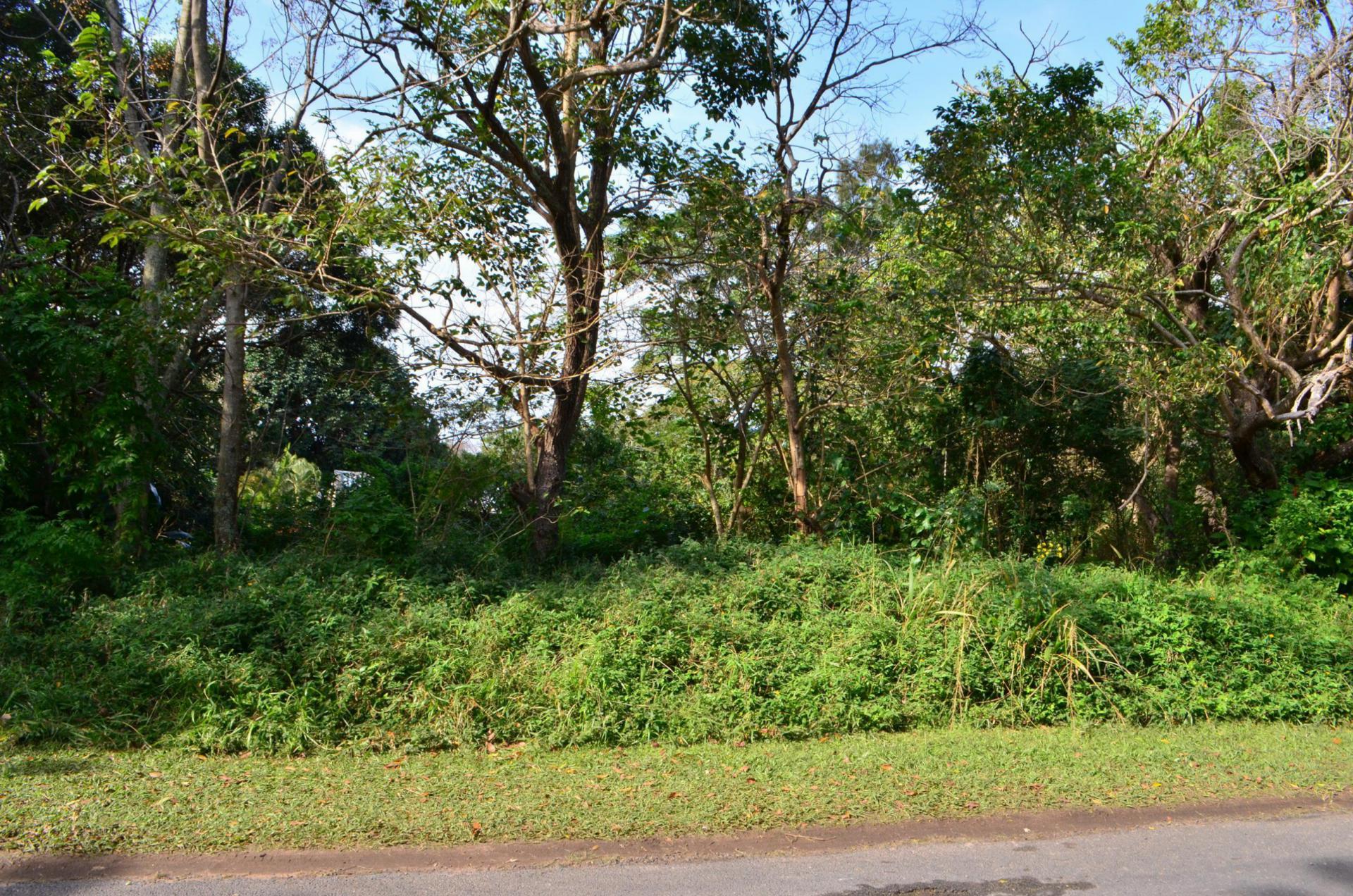 Front View of property in Pennington