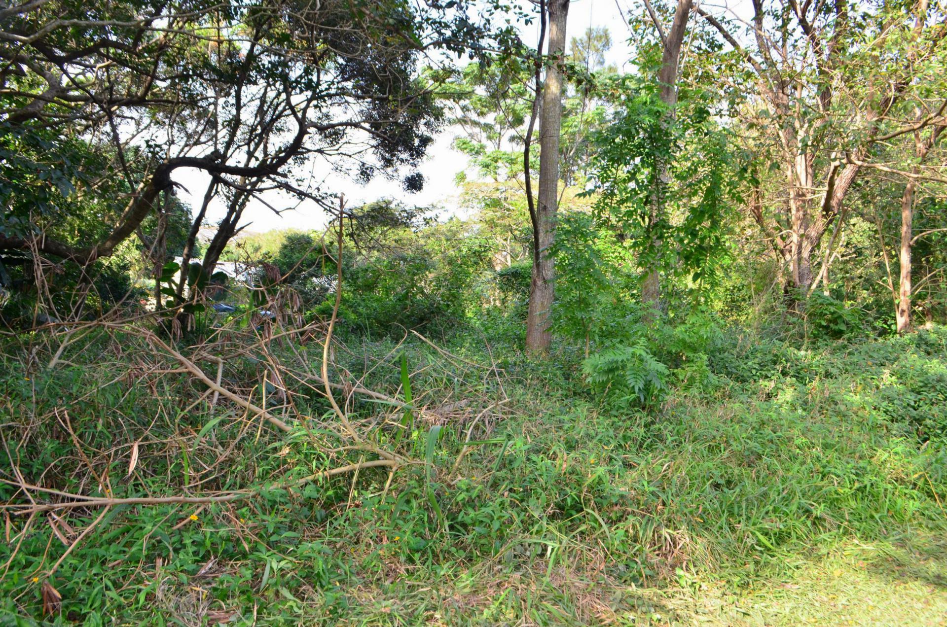 Front View of property in Pennington