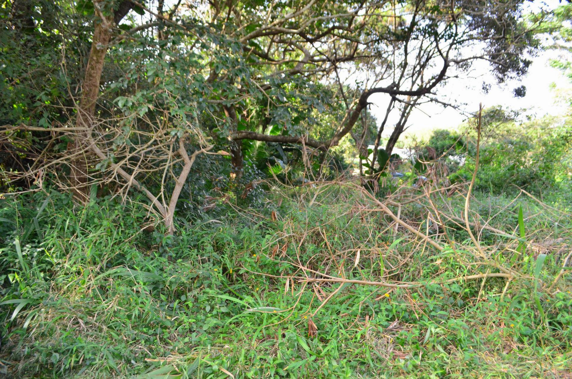 Front View of property in Pennington