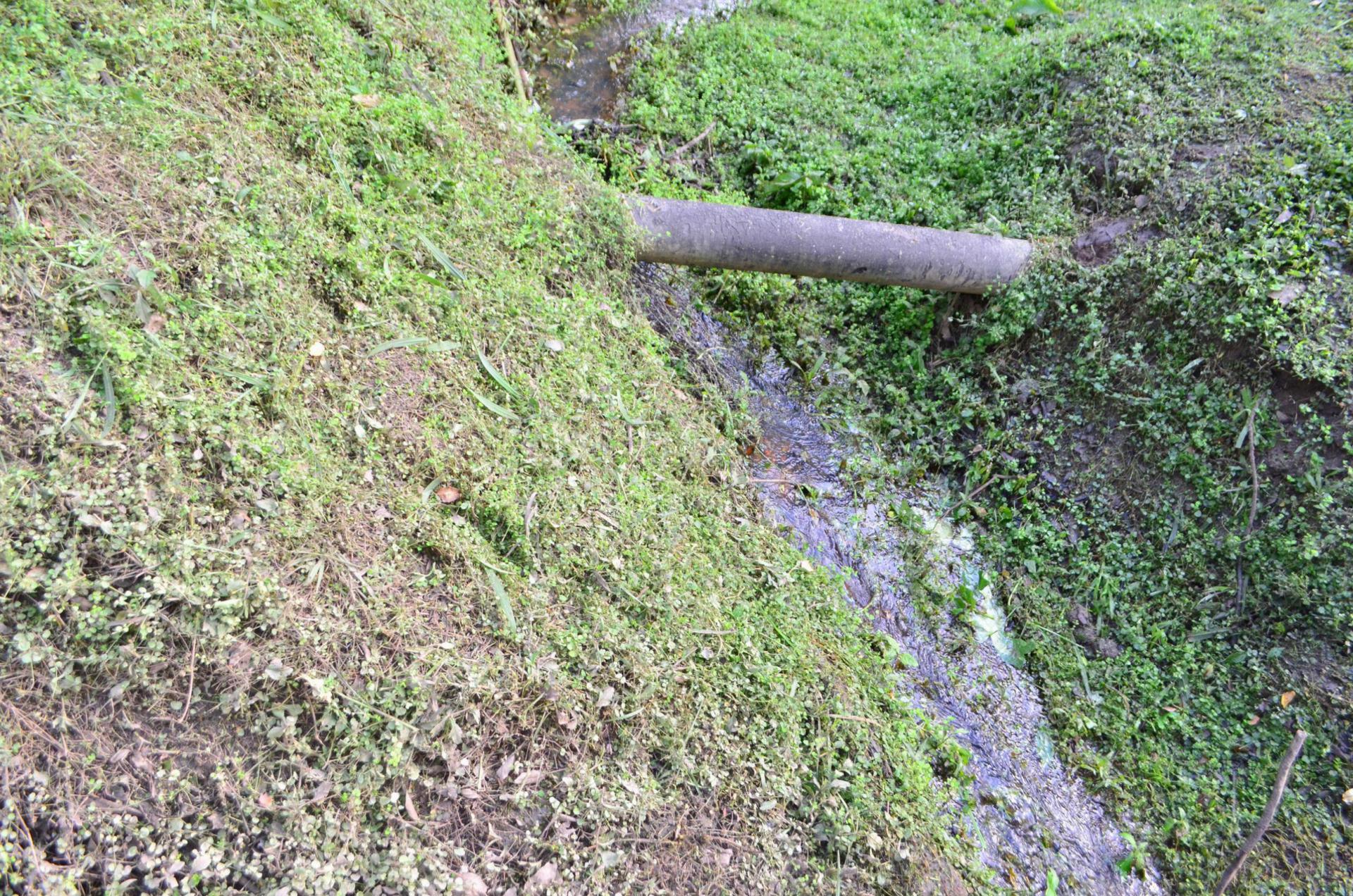 Front View of property in Pennington