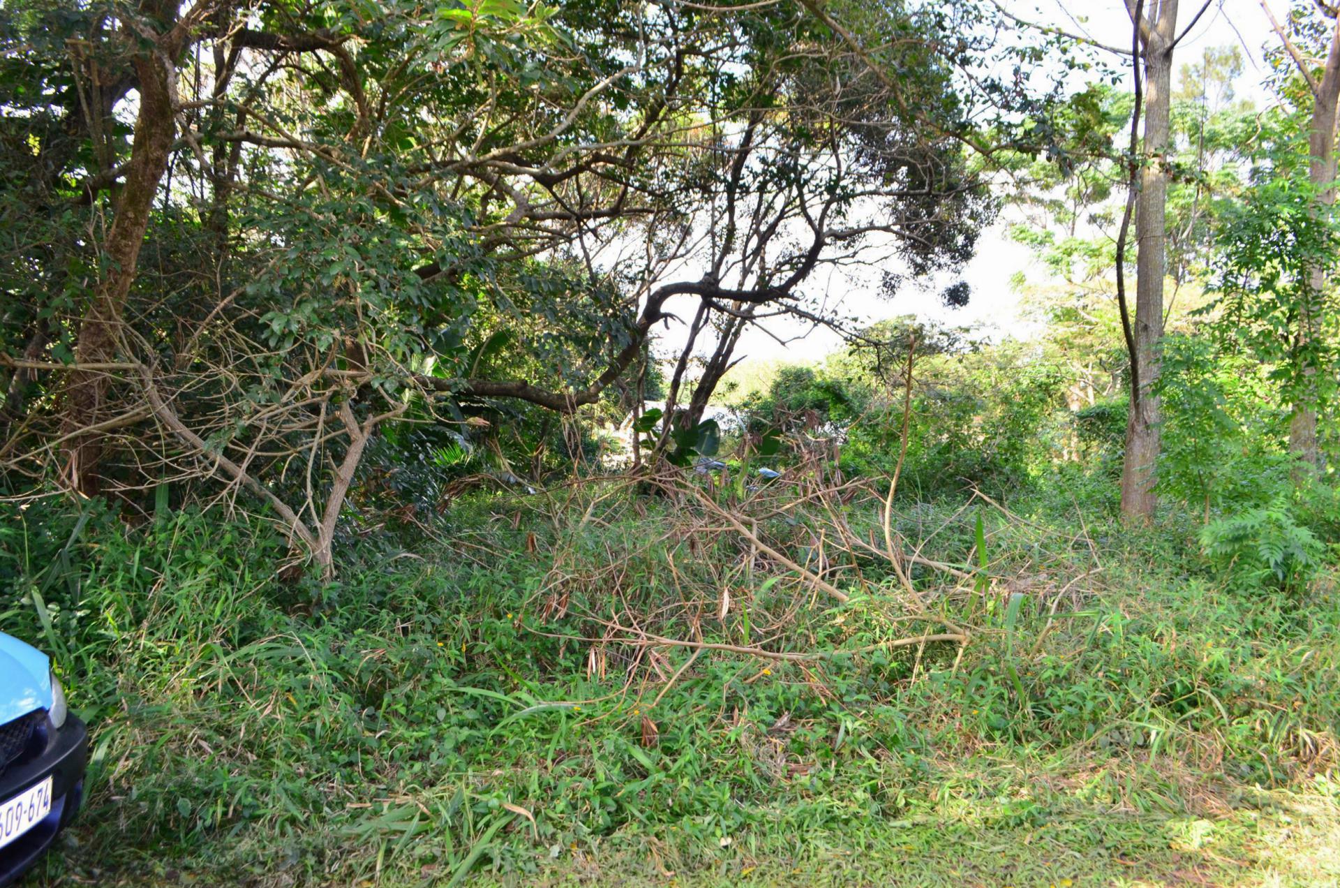 Front View of property in Pennington