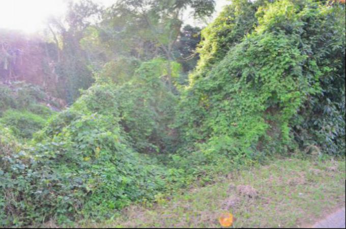 Land for Sale For Sale in Kingsburgh - Home Sell - MR105577