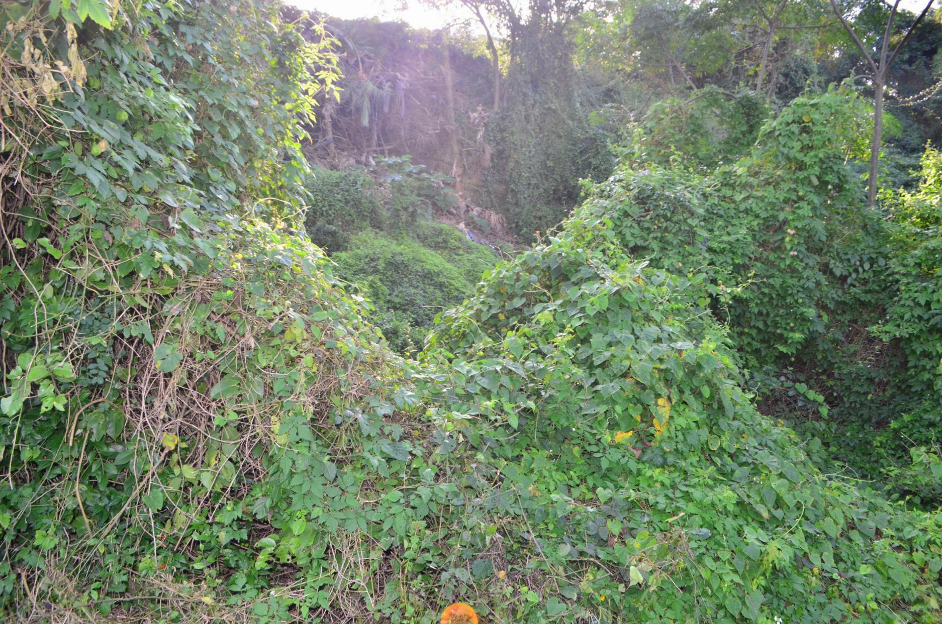 Front View of property in Kingsburgh