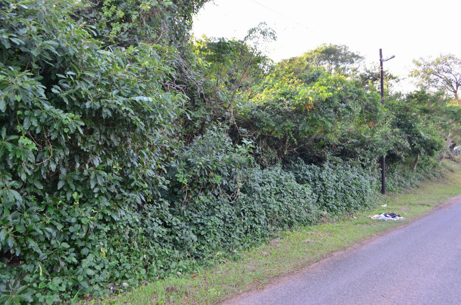 Front View of property in Kingsburgh