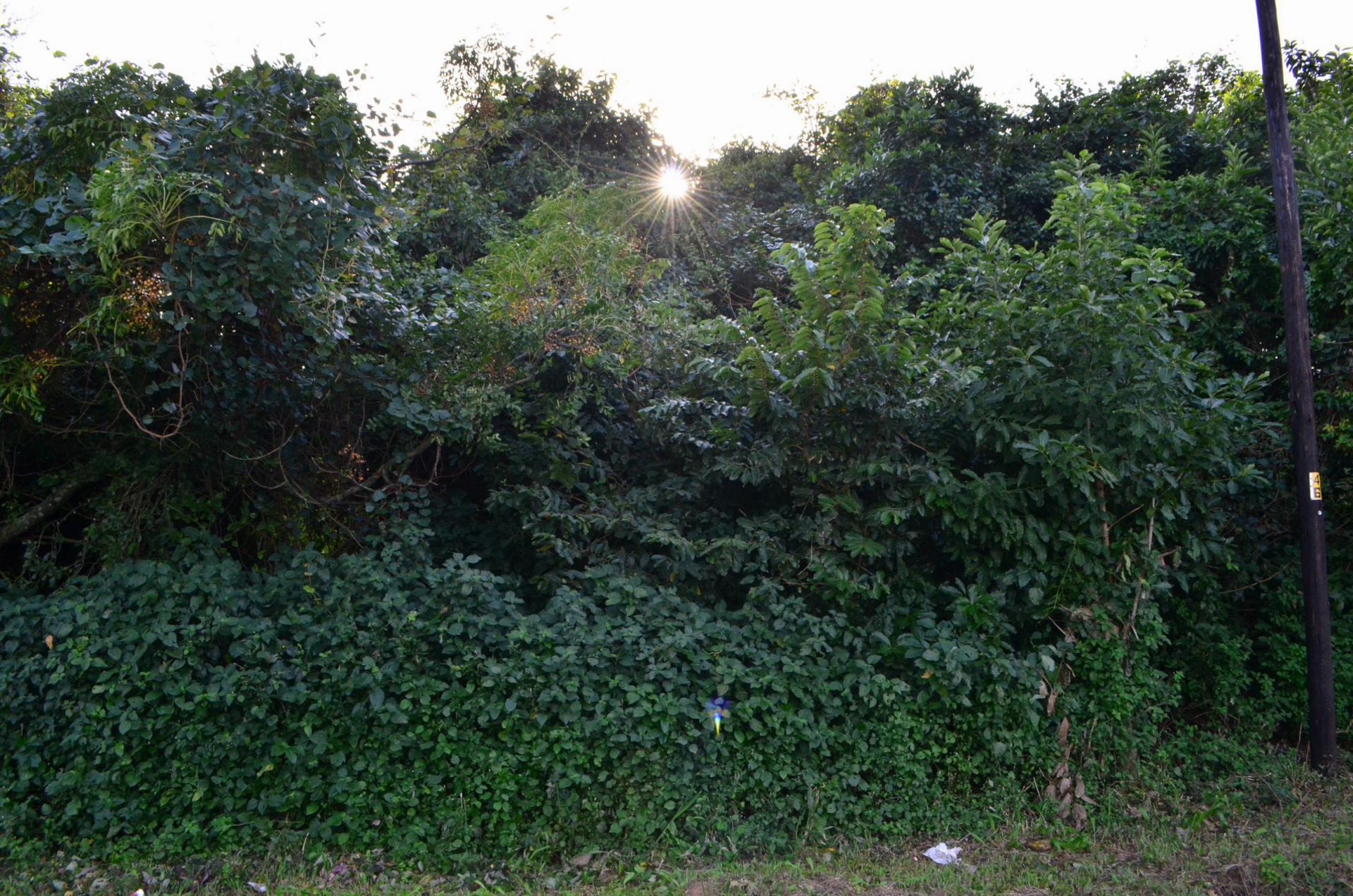 Front View of property in Kingsburgh