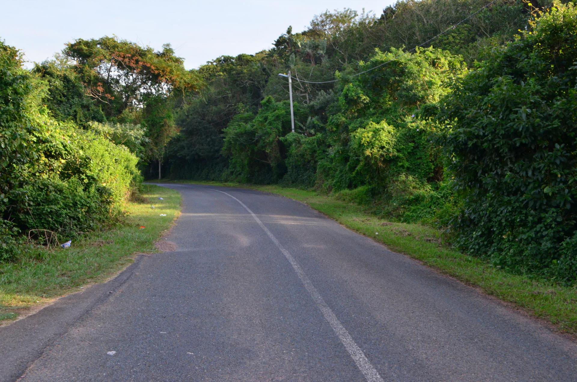 Spaces of property in Kingsburgh