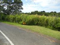 Front View of property in Umtentweni