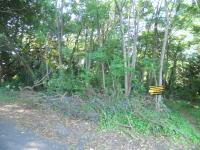 Land for Sale for sale in Port Shepstone