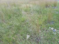 Land for Sale for sale in Riversdale
