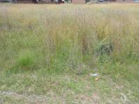 Land for Sale for sale in Riversdale