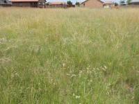 Land for Sale for sale in Riversdale
