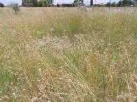 Land for Sale for sale in Riversdale