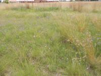 Land for Sale for sale in Riversdale