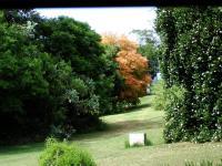 Garden of property in Bathurst