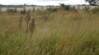 Land for Sale for sale in Polokwane