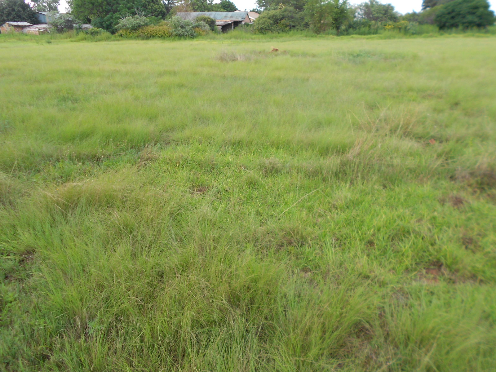 Front View of property in Brakpan