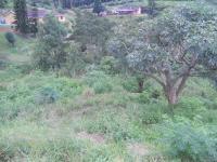 Land for Sale for sale in Bothas Hill 