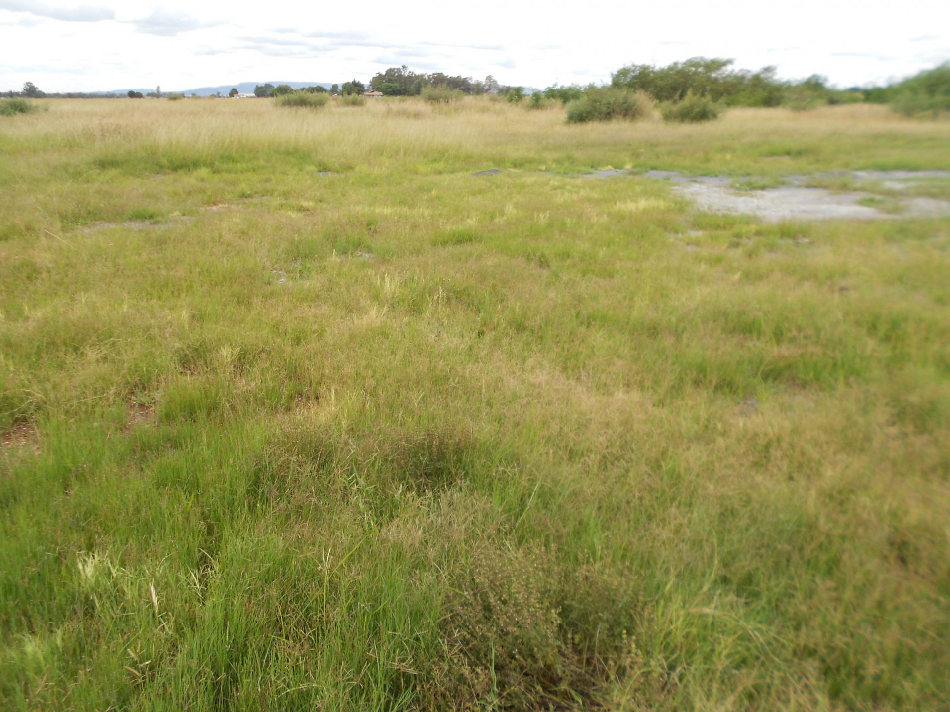 Front View of property in Riversdale