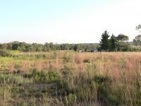 Front View of property in Walkerville