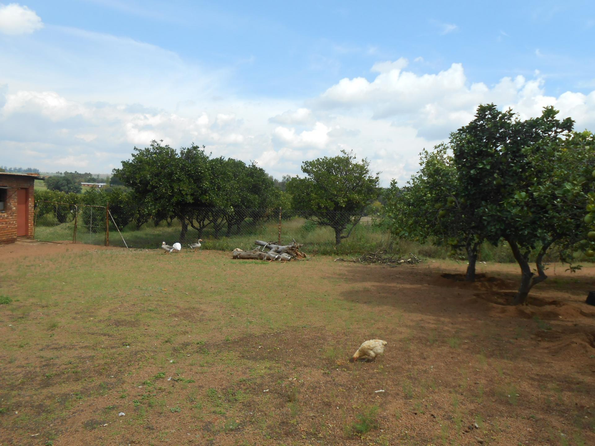 Backyard of property in Mont Lorraine AH