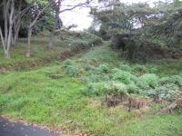 Land for Sale for sale in Pennington