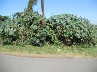 Land for Sale for sale in Stanger