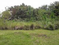 Land for Sale for sale in Southbroom