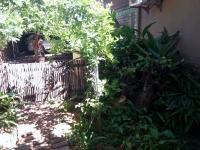 Backyard of property in Jan Kempdorp