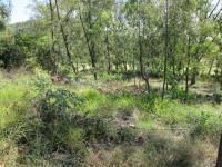 Land for Sale for sale in Eye of Africa