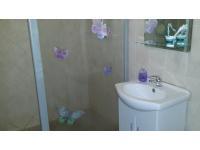 Bathroom 1 of property in Lenasia South