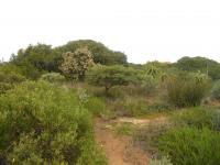 Front View of property in Stilbaai (Still Bay)