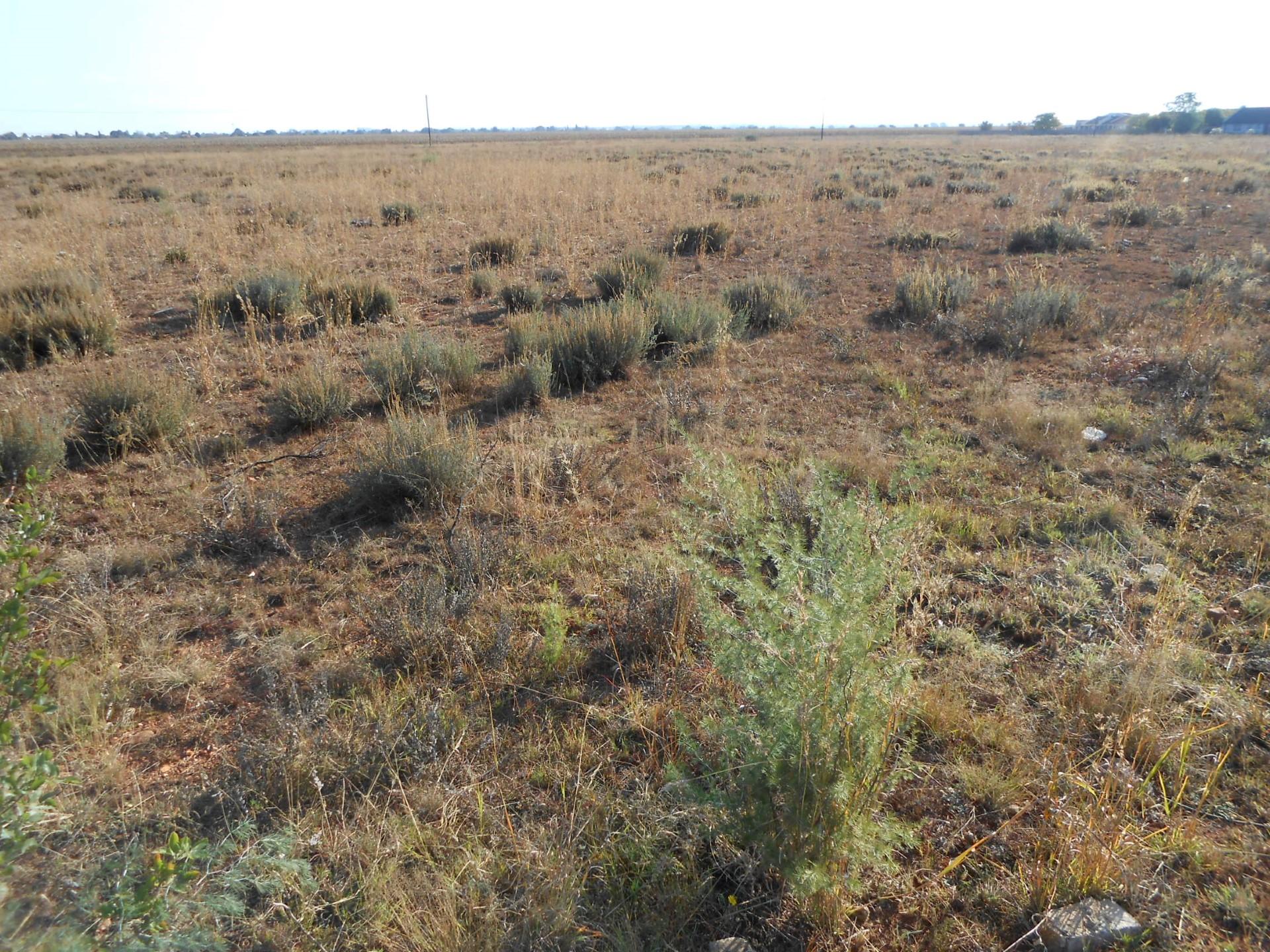 Front View of property in Henley-on-Klip