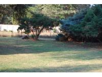 Garden of property in Krugersdorp