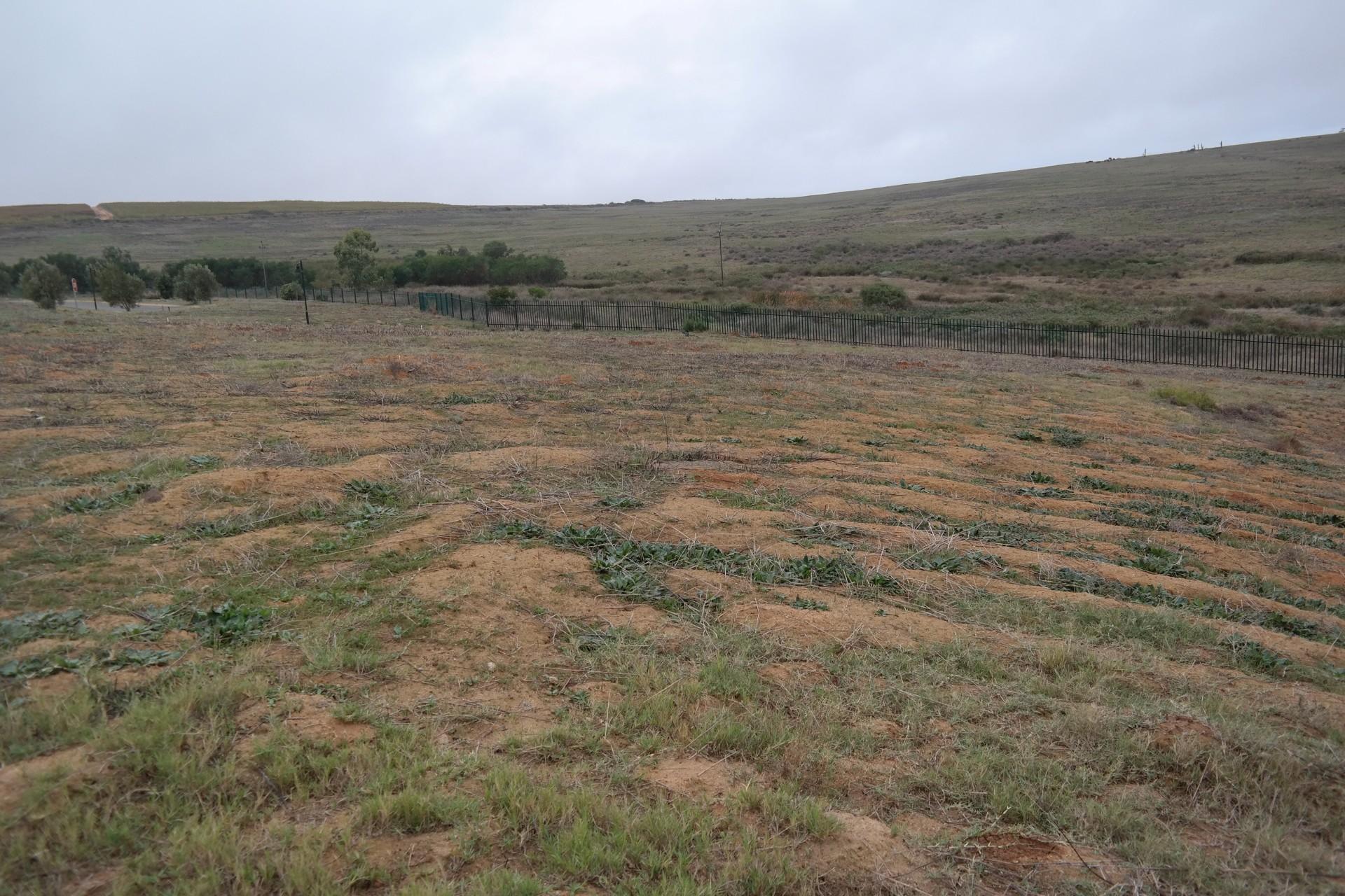 Land for Sale For Sale in Malmesbury Home Sell MR110595