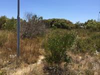 Front View of property in Jeffrey's Bay