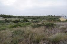 Backyard of property in Pearly Beach