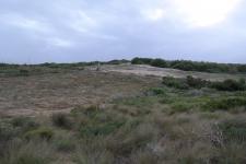 Backyard of property in Pearly Beach