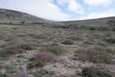 Front View of property in St Helena Bay