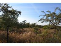 Smallholding for Sale for sale in Polokwane