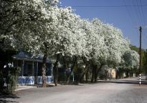 Front View of property in Loxton