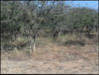 Land for Sale for sale in Hoedspruit