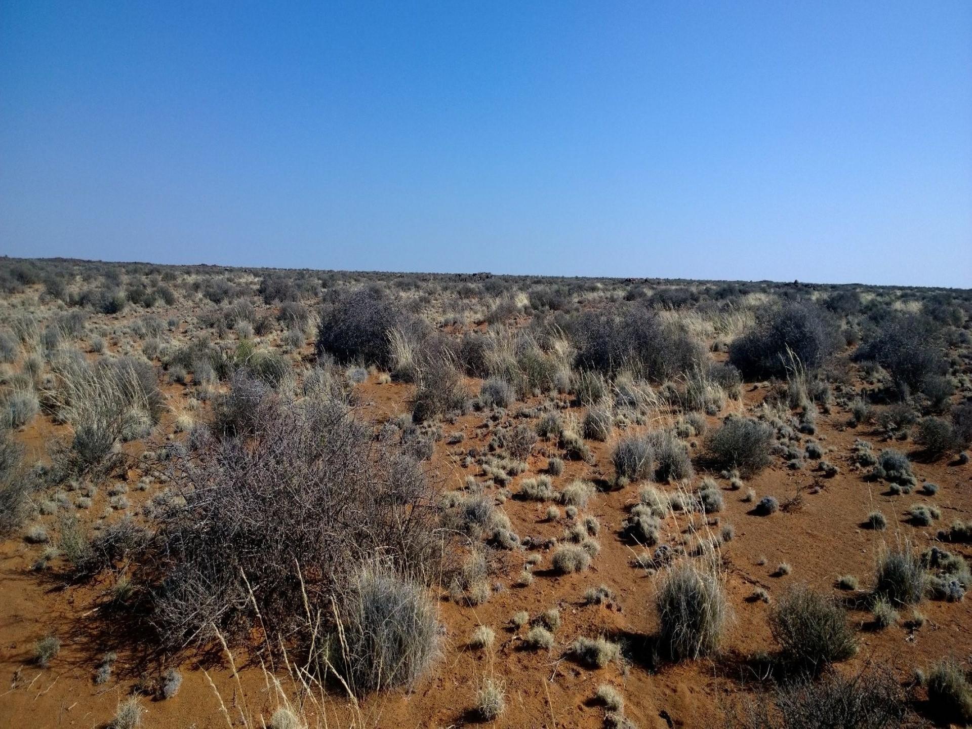 Front View of property in Calvinia