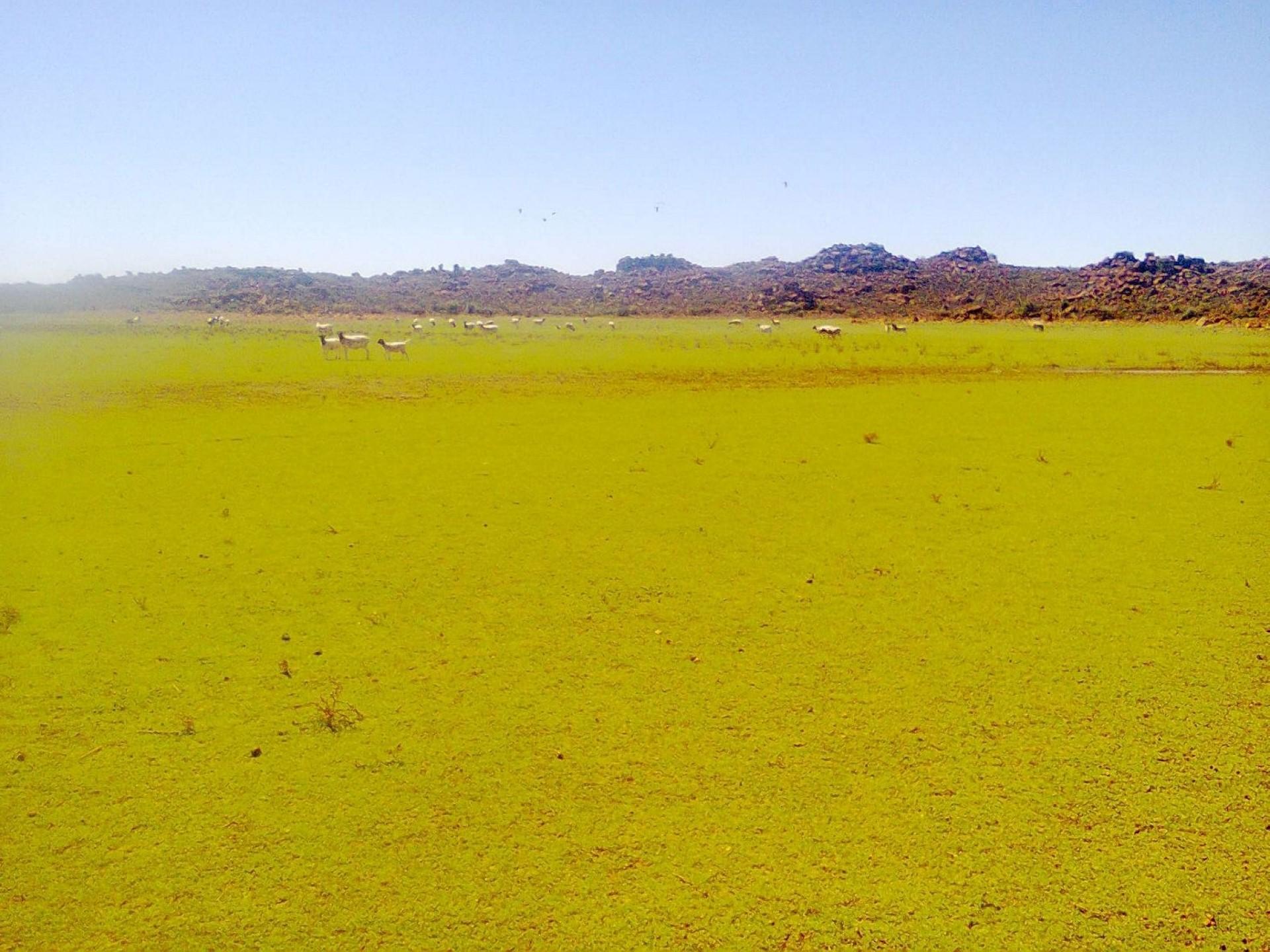 Front View of property in Calvinia