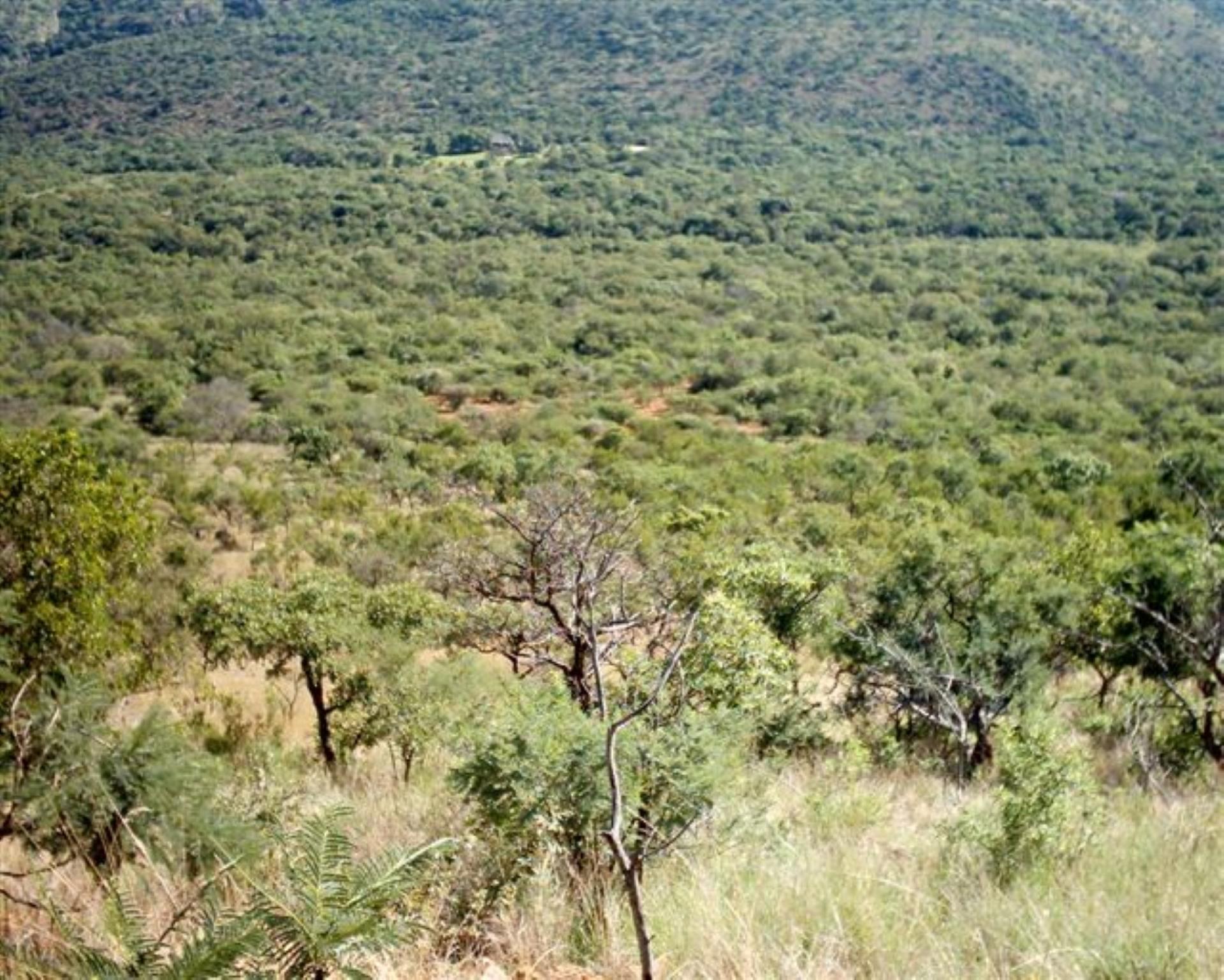 Front View of property in Mokopane (Potgietersrust)