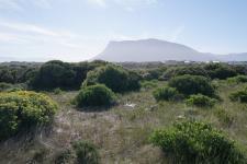 Land for Sale for sale in Gansbaai