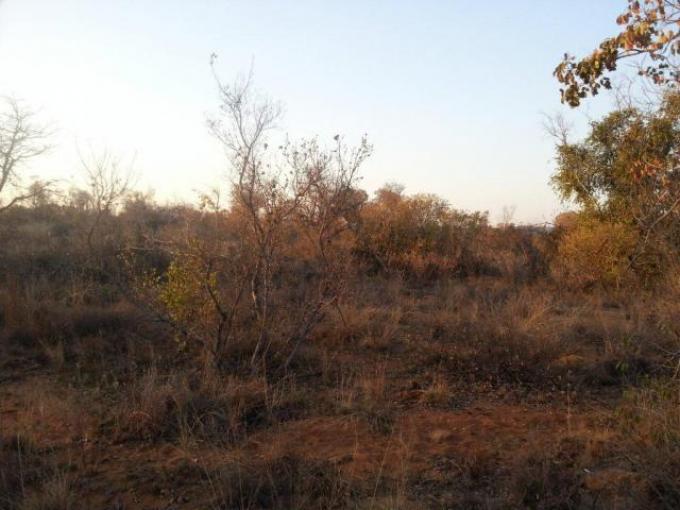 Land for Sale For Sale in Vaalwater - Private Sale - MR114714