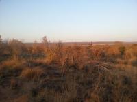 Front View of property in Vaalwater