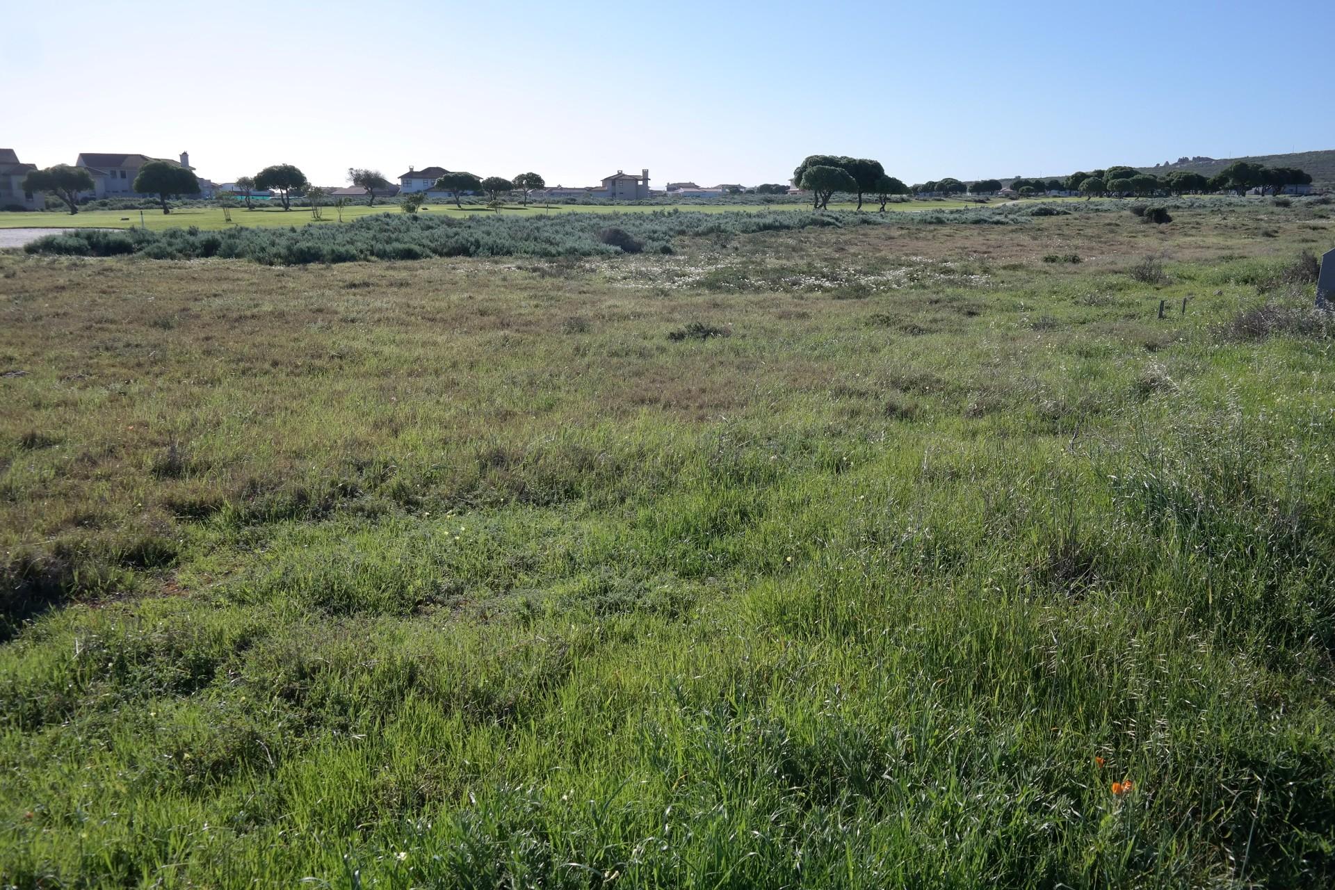 Front View of property in Langebaan