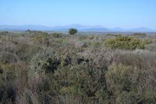 Spaces - 30 square meters of property in Hopefield