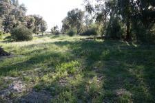 Front View of property in Hopefield